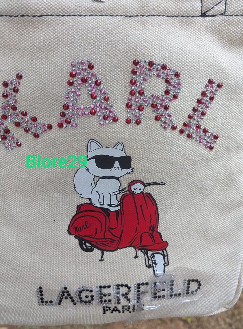 Choupette In Vespa Bag